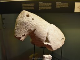 Ciudad de Elche 2022